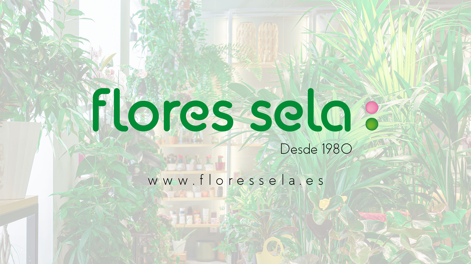 Flores Sela, floristerías en León