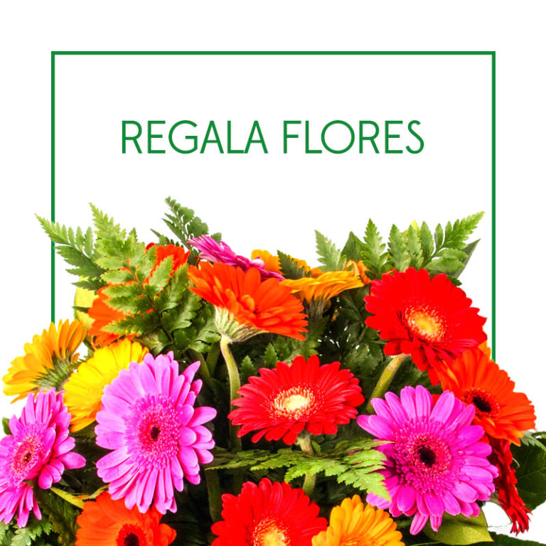 Regala Flores
